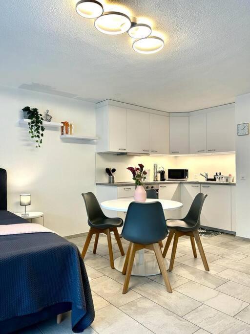 Casa Ambizione Apartment Dietikon Exterior foto