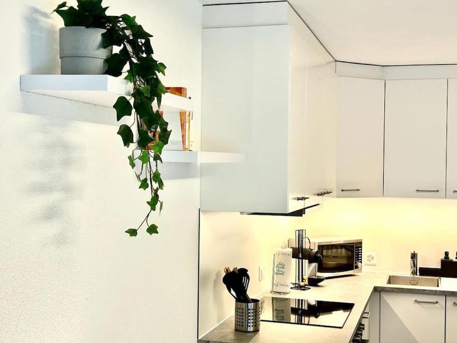 Casa Ambizione Apartment Dietikon Exterior foto